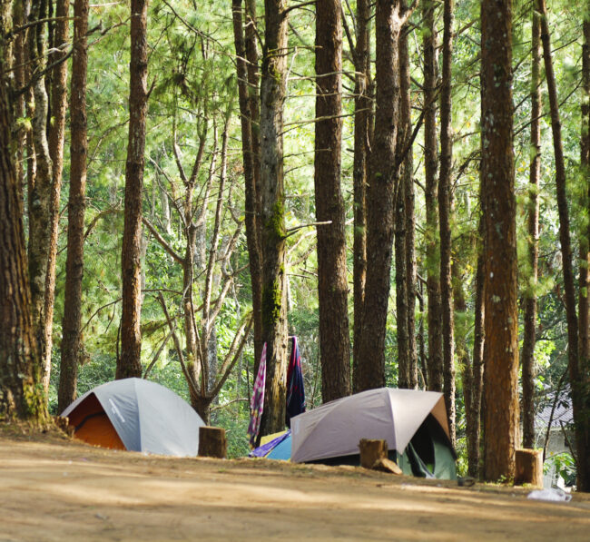 Camping tent in forest of Thailand