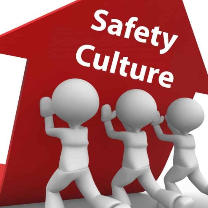 Safety Culture